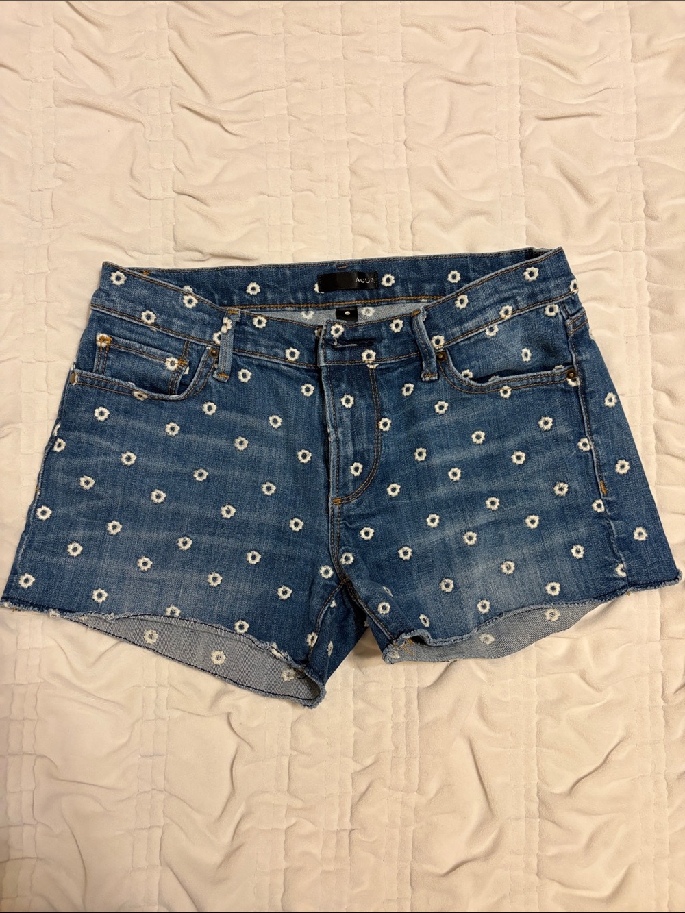 Aqua Blue Denim Daisy-Embroidered Jean Shorts
